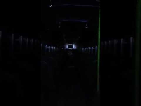 La ruta 501 y su música