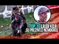 TOP 10 Ljudi Koji Su Preživeli Nemoguće