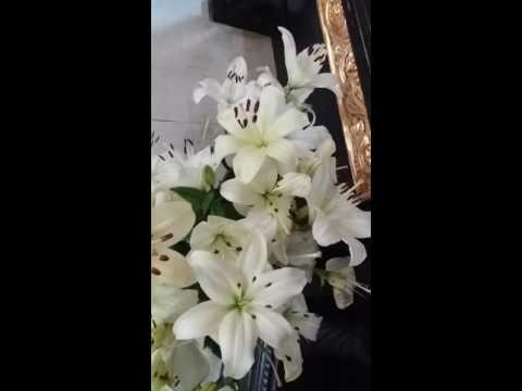 Predica părintelui prof. Constantin Pătuleanu in ziua de Rusalii, la Biserica Sf.Nicolae Udricani