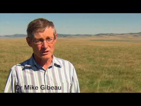 Preserving our heritage