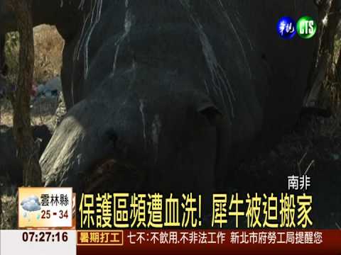 守護犀牛大作戰 南非分散保護區