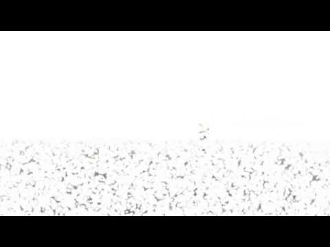 Everlasting Victory - Beyond (Official Visual Audio)