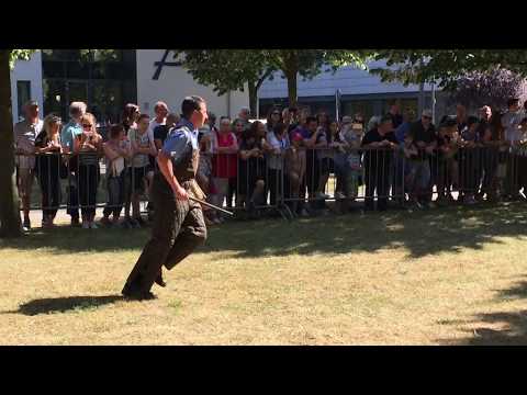 HUNDESTAFFEL – Polizeihunde im Dienst | Übung und Demonstation mit Polizeihunden