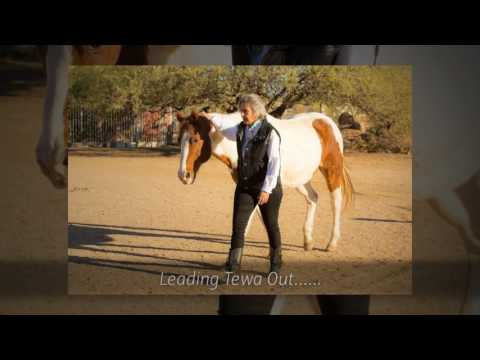 Desert Awakenings Ranch 1080p