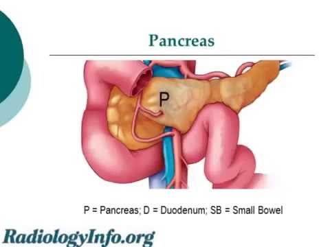 MRCP Radiologist Explains Magnetic Resonance Cholangiopancreatography