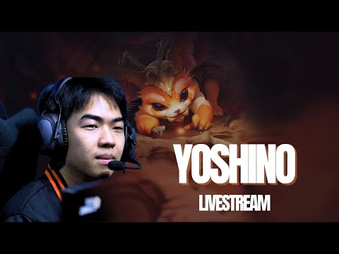 Short stream trước khi nghỉ tết