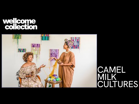 Camel Milk Cultures with dhaqan collective