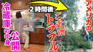 【隣の木がうちに倒壊！アメリカご近所トラブル！】トラブル続きの主婦のVlog【アメリカ家族】