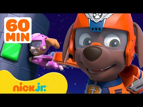 PAW Patrol Land, Sea & Sky Rescues! w/ Zuma, Chase & Tracker | 60 Minute Compilation | Nick Jr.