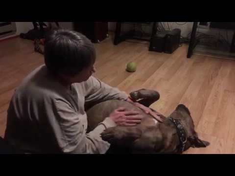 Sharyn & Bella 1-4-18