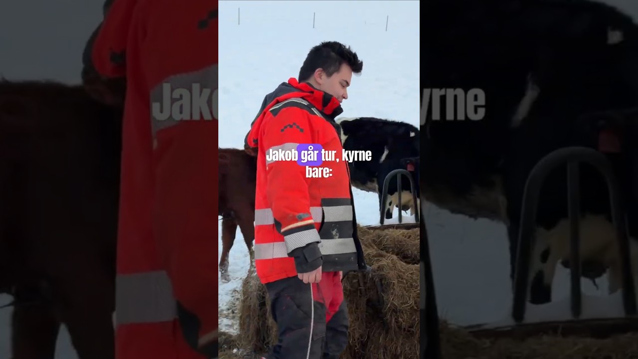 Jakob og gjengen går tur