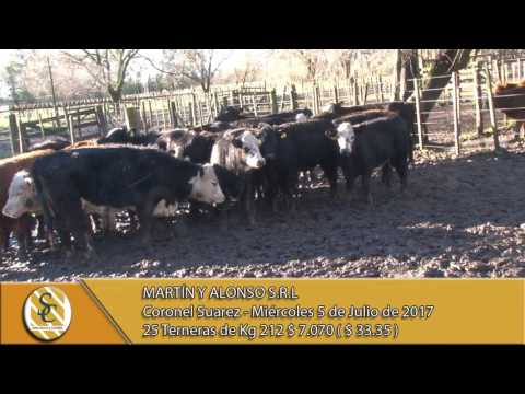 05-07-17 Venta Hembras Faena - Martín y Alonso - Coronel Suárez