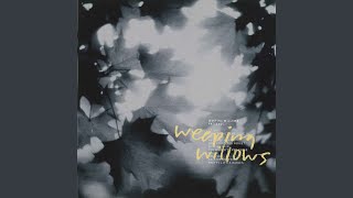 Music video thumbnail preview for Lost Love by Weeping Willows