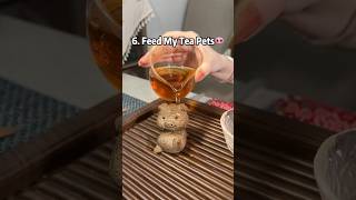 Download lagu How to brew Pu'er Tea Fast! #tea #teatime #puertea mp3 Download lagu How to brew Pu'er Tea Fast! #tea #teatime #puertea mp3