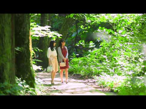 花巻温泉 (Hanamaki Onsen)  イーハトーブの風景地 釜淵の滝（Kamabuchi waterfalls）