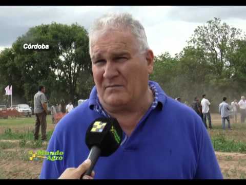 MUNDO AGRO CBA 01MIE09DIC2015 AGUSTIN PIZZICHINI FAA AGROPAPA 2015 Y planta de fabricación de Papa P