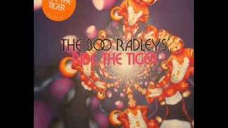 The Boo Radleys - Ride the Tiger