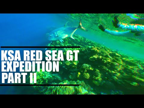 SAUDI ARABIA RED SEA GT EXPEDITION : PART II