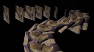 Stereo Total - Ich bin nackt (i am naked)