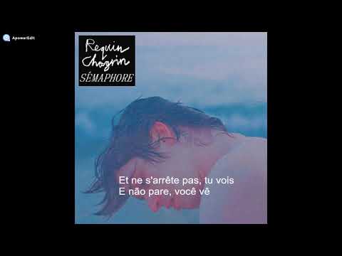 Sémaphore - Requin Chagrin