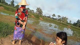 พาเลาะทุงไฮ่ทุงนาคึเก่าพี่น้อง