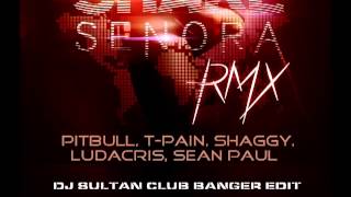 SHAKE SENORA - PITBULL T-PAIN SHAGGY LUDACRIS SEAN PAUL DJ SULTAN CLUB BANGER EDIT