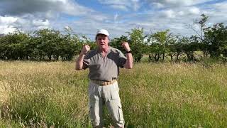 Children's Service 12th July