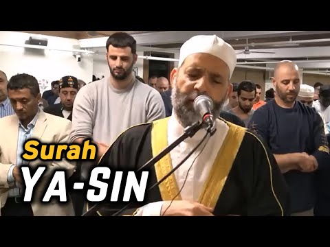 Surah Yasin (Yaseen) سورة يس | Most Beautiful Quran Recitation In The World | Sheikh Hassan Saleh