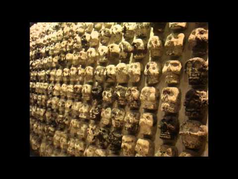 A.N.I.M.A.L. - Cinco Siglos Igual