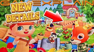 NEW Animal Crossing: New Horizons Details! Multiple Town Levels, New Villagers, & More!