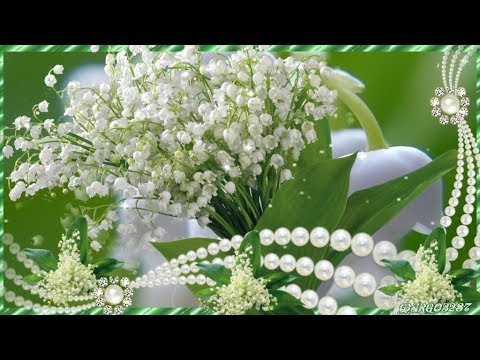 download lagu mp3 mp4 ландыши букет, download lagu ландыши букет gratis, unduh video klip ландыши букет