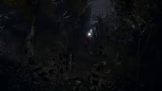 [RE4]DLCをやるしかねえ
