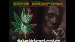 Bob Marley Pimper's Paradise