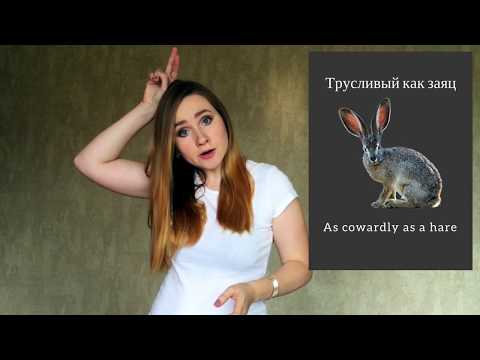 Russian language – 5 Comparisons in Russian