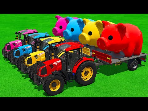 LOAD AND TRANSPORT GIANT PIGS WITH CLAAS TRACTORS AND FENDT LOADERS - Farming Simulator 25