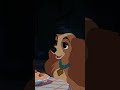 The 70th Anniversary Celebration Of Lady The Tramp