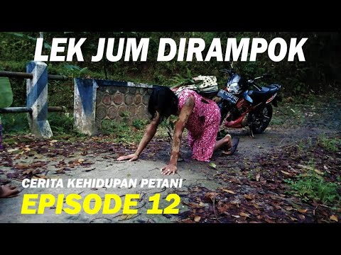 cerita-kehidupan-petani-episode-12-lek-jum-di-rampok