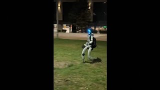 Varşova'da insansı robot yaban domuzlarını kovaladı