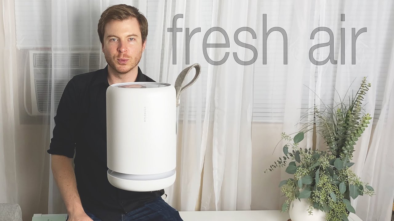 NEW MOLEKULE AIR MINI Air Purifier 1 Month Review