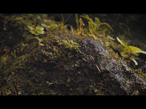 1. Vk Mac - PODIA SER AGORA (prod. Vk Mac)