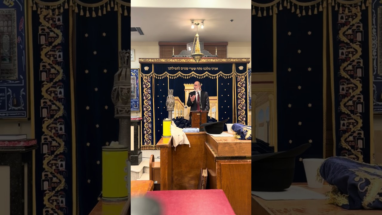 One year Hazkara of Mitali Naomi Dotan 