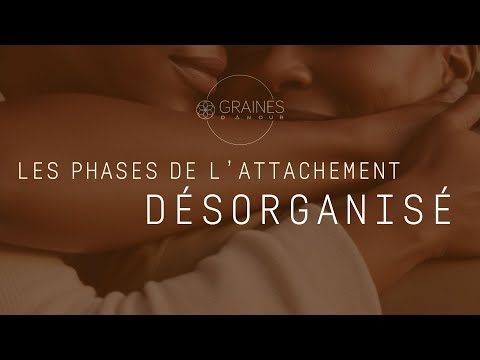 The phases of disorganized attachment in relation