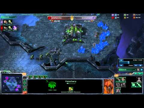 20110531 Nerchio(Z) vs Stephano(Z) Game 2