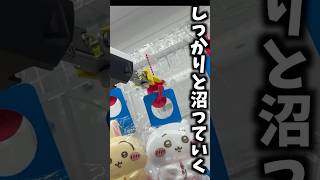 【ちいかわクレゲ】クレゲ初心者苦手な台でもちろん沼る！最新プライズちいかわ洗濯ばさみに挑戦！ #ちいかわ #クレーンゲーム #UFOキャッチャー #chiikawa #ちい活 #ちいかわグッズ