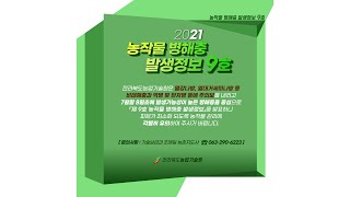 2021년 농작물 병해충 발생정보 9호 발표