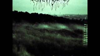 Colotyphus - Forgotten in the past (2015)