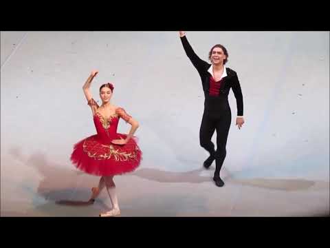 Don Quixote (extracts) - Vasiliev/Vinogradova