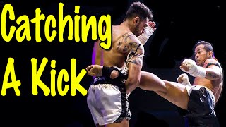 Catch Body Kick and Counter