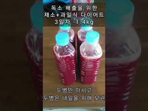 과일과 채소로 해독하는 3일 디톡스 플랜