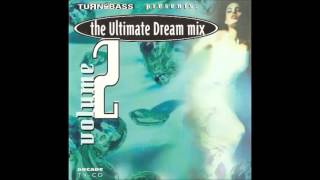The Ultimate Dream Mix 2